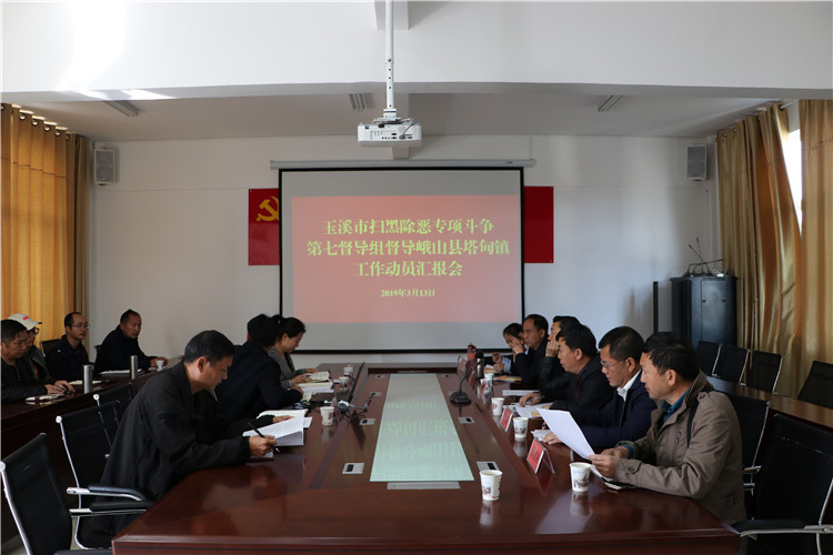 玉溪市扫黑除恶专项斗争第七督导组到塔甸镇督
