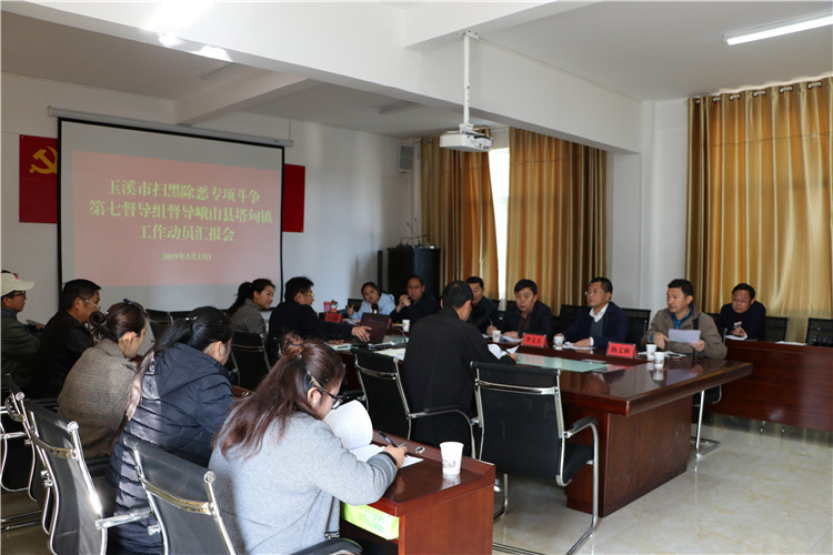 玉溪市扫黑除恶专项斗争第七督导组到塔甸镇督