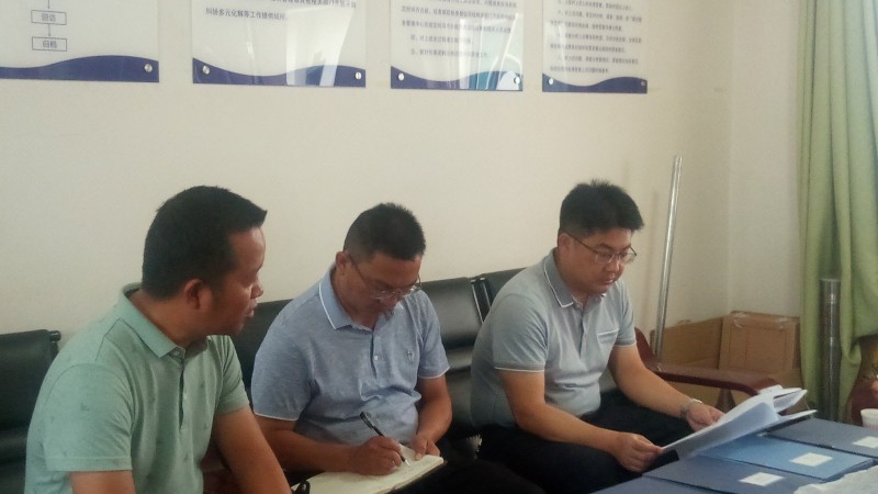 县委常委、常务副县长常成到甸中镇调研扫黑除