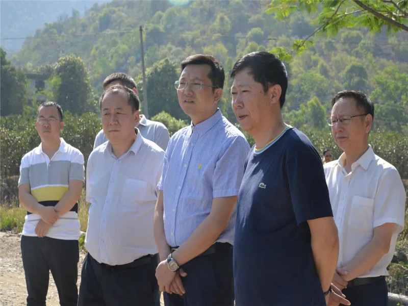 李朝伟一行到峨山县调研云南绿色钢城推进情况