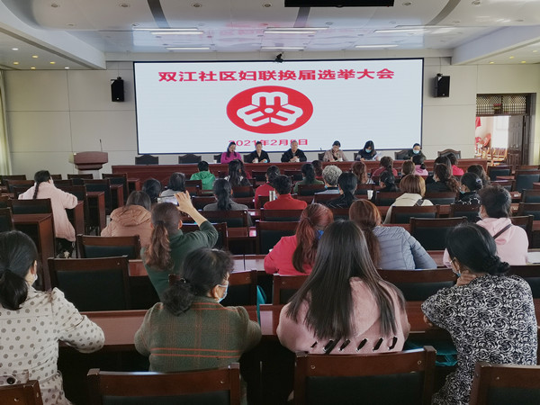 双江街道圆满完成妇联换届选举工作