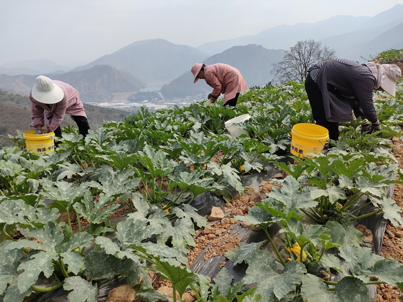 7b59884e507e78a7ac12678c03a2d3b.jpg 7b59884e507e78a7ac12678c03a2d3b.jpg