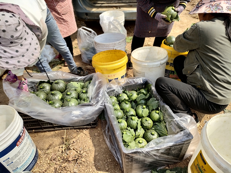 607f25bc93abcd60fe55204ea3658fa.jpg 607f25bc93abcd60fe55204ea3658fa.jpg