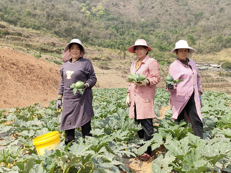 a943eecd69a22be4c06236b837a87a0.jpg a943eecd69a22be4c06236b837a87a0.jpg