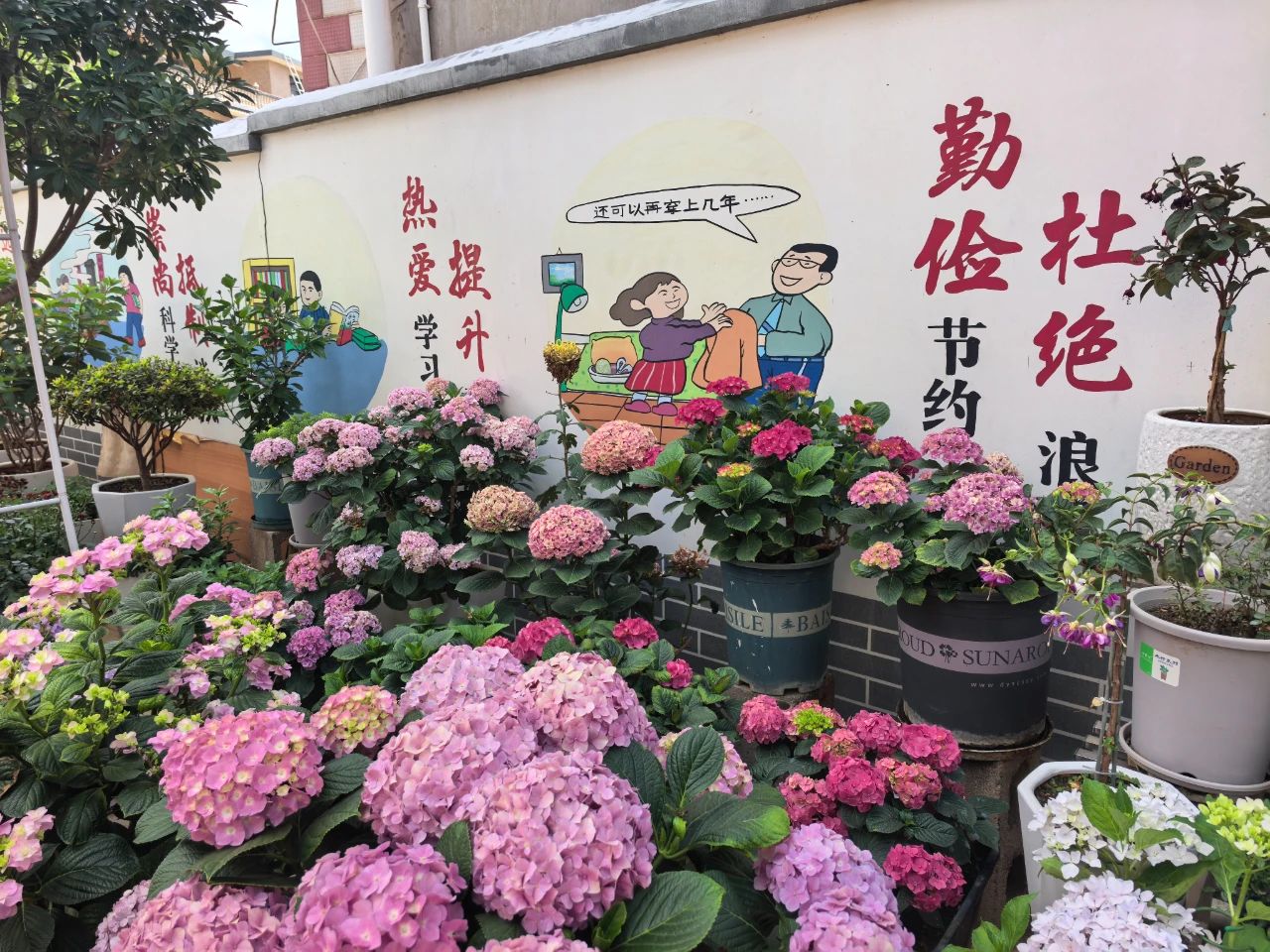 微信图片_20250728094457.jpg