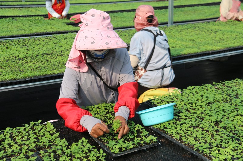 IMG_2948.jpg IMG_2948.jpg