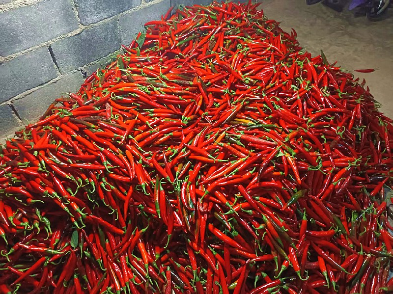 f1d1dfe8d6a5c75ed8c01969ea636487.jpg f1d1dfe8d6a5c75ed8c01969ea636487.jpg