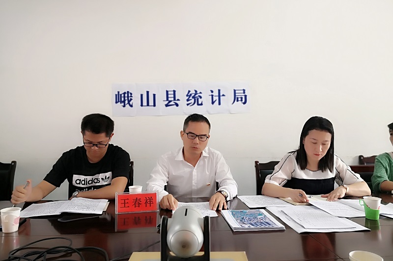 人口普查区域划分和绘图业务视频培训