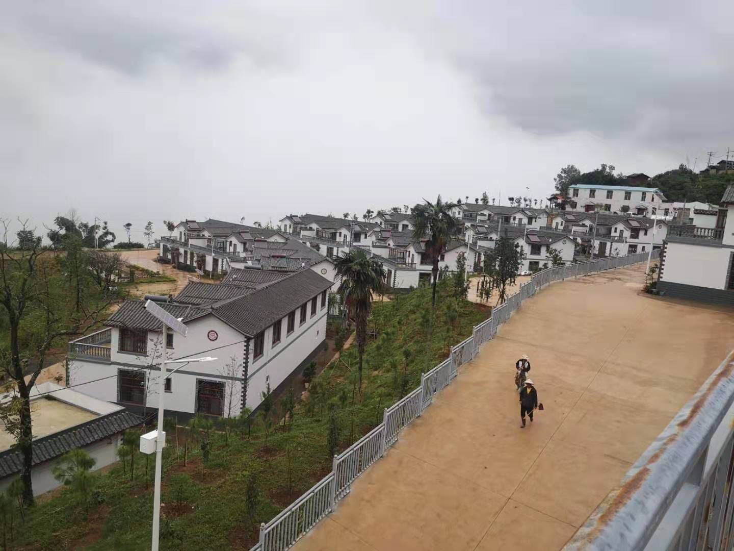 县政协调研全国民族团结进步示范县甸中镇松山,元山,大寨和旧寨特色村