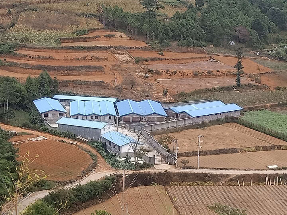 猪场全景.jpg