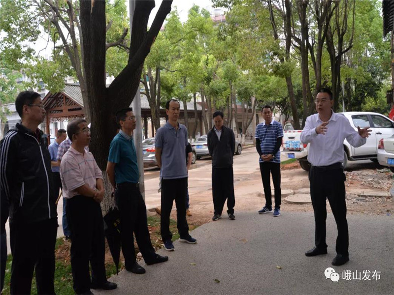 玉溪市政协到峨山县调研城镇老旧小区改造工作