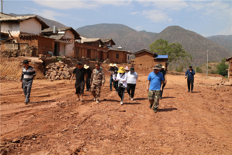 了解峨山  乡镇街道  大龙潭乡  工作动态上午由乡党委书记卢少英主持