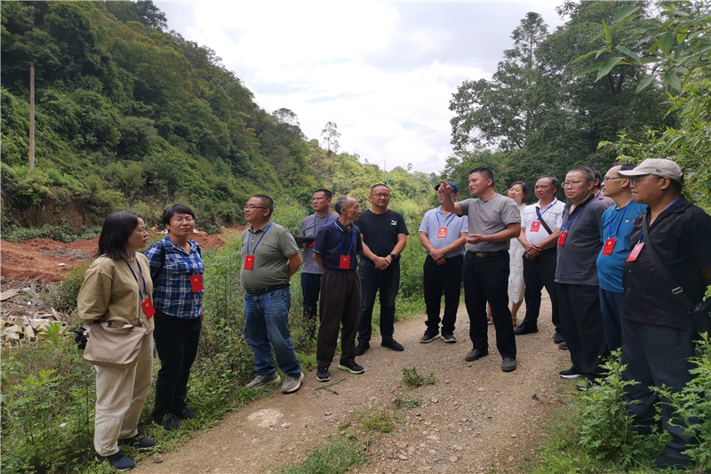 峨山县政协到大龙潭乡调研农村危房闲置房安心拆除工作推进情况