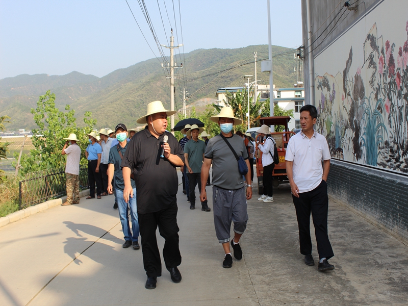 转作风提效能元江县澧江街道到化念镇交流学习