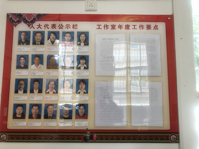 建立组织领导新架构.