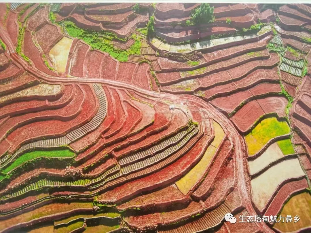 首页>了解峨山>乡镇街道>塔甸镇>工作动态>发布时间:2023-01-05 11:23