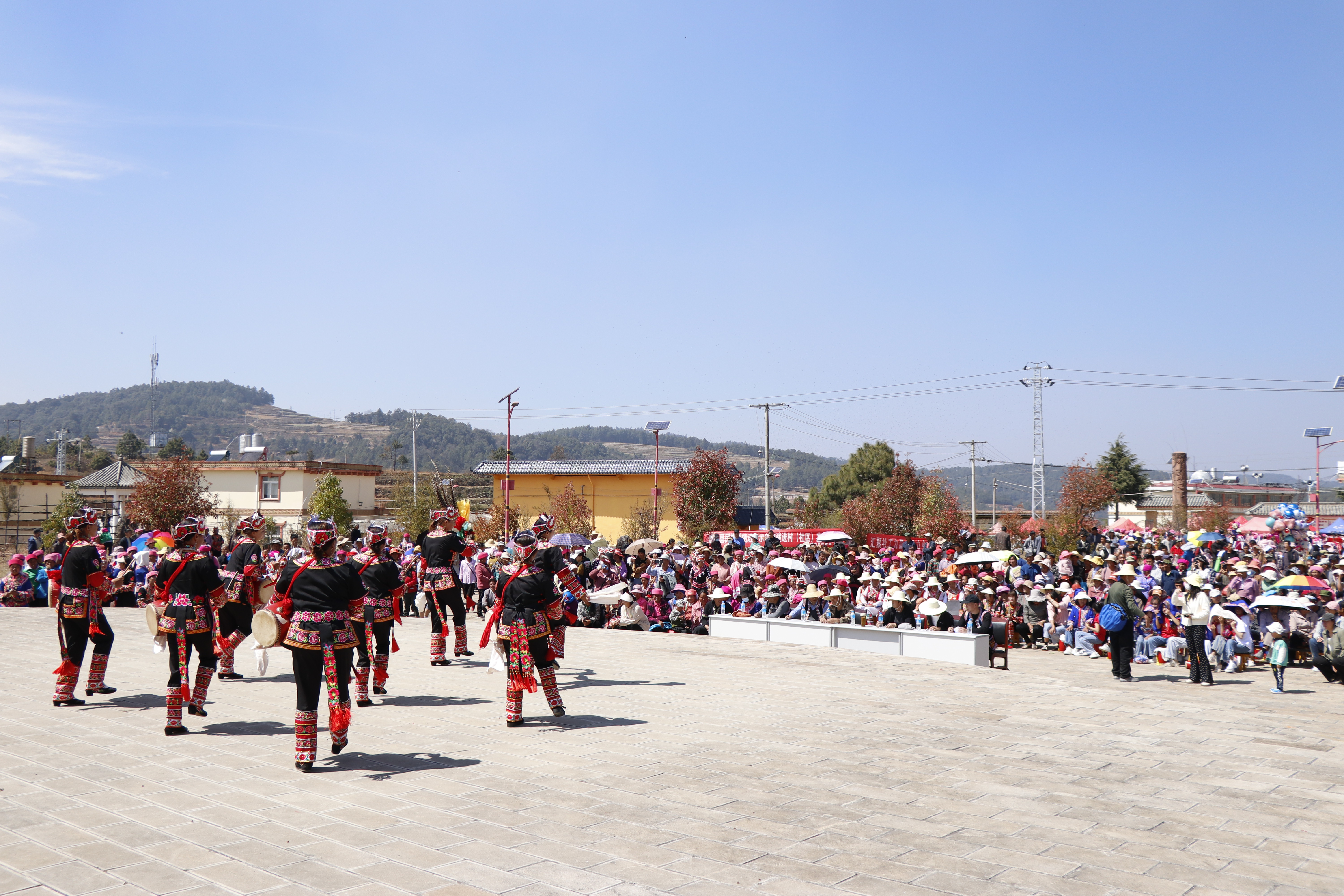 玛缨花节山苏人的浪漫情诗