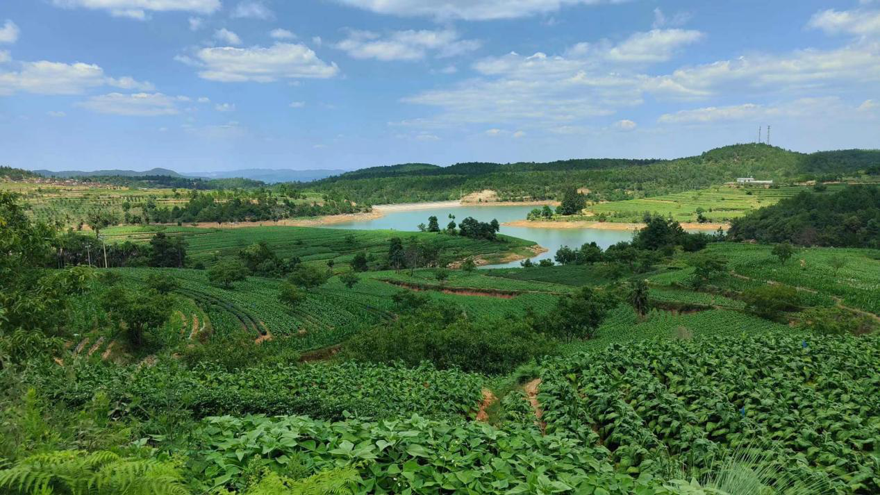 首页>了解峨山>乡镇街道>塔甸镇>工作动态>目前已经陆续进入烤烟烘烤