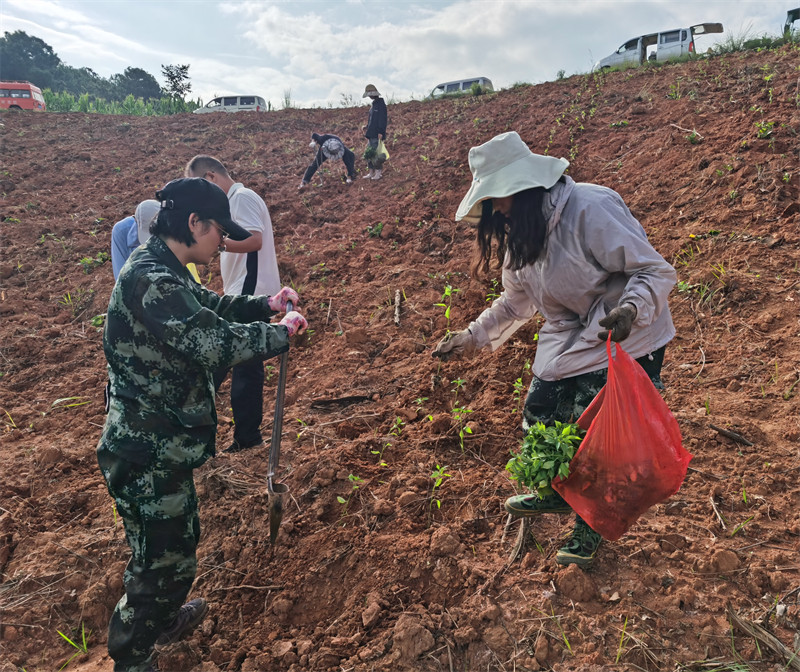 首页>了解峨山>乡镇街道>大龙潭乡>工作动态>爱动小队始终秉持着用