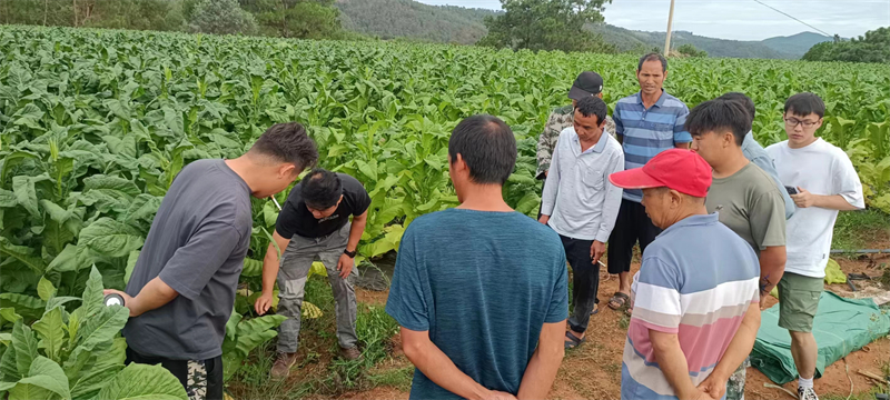 首页>了解峨山>乡镇街道>大龙潭乡>工作动态>主办:峨山彝族自治县人民