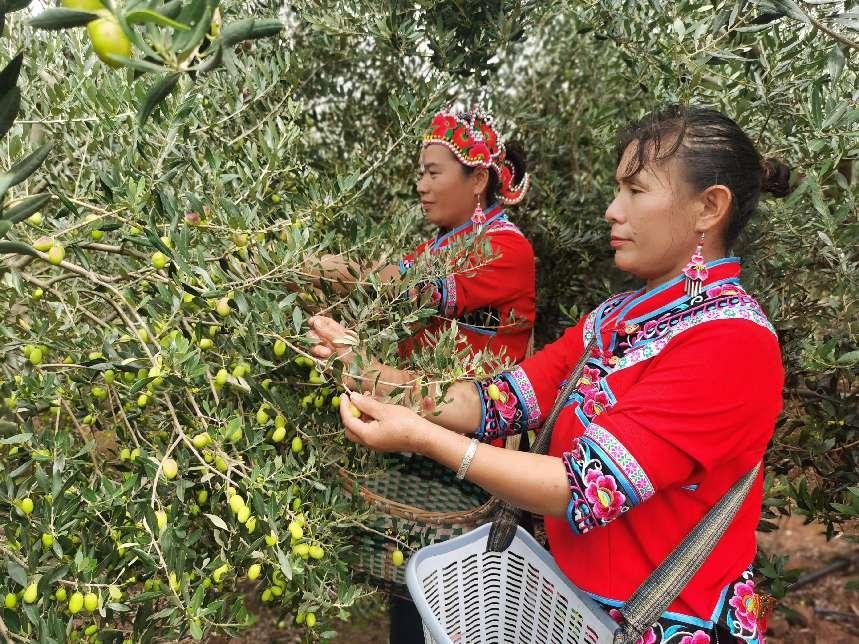 105927j77yd7v46kxthqqx.png 105927j77yd7v46kxthqqx.png