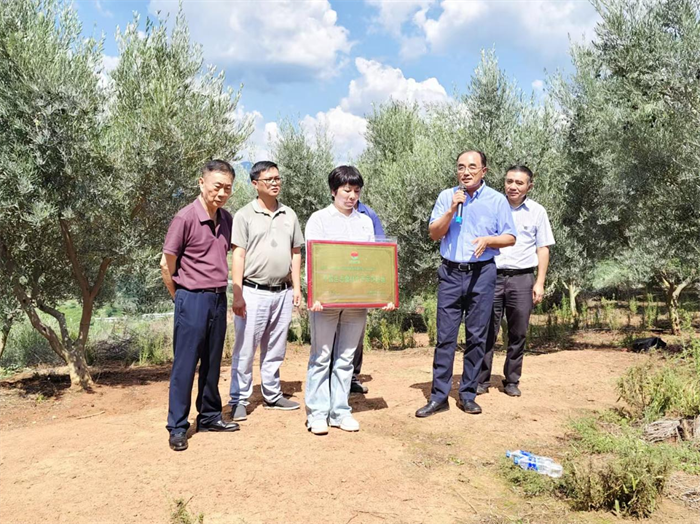 105927lh49dptx9pdpzg58.png 105927lh49dptx9pdpzg58.png