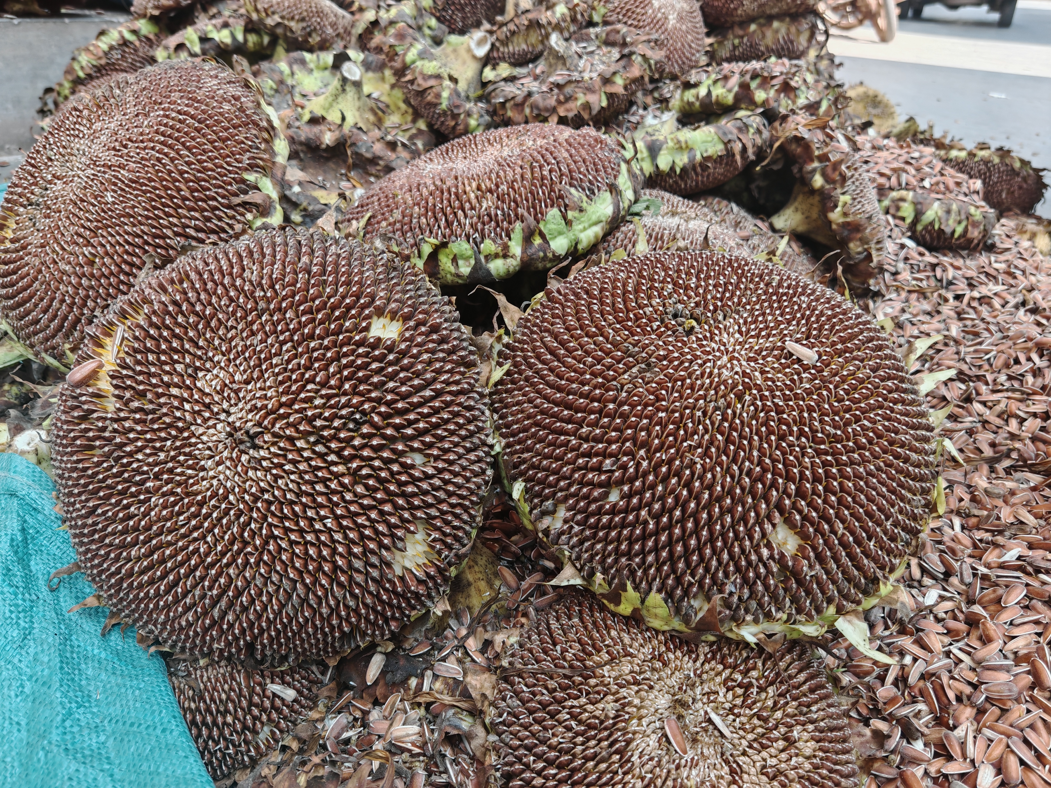 微信图片_20241015115125.jpg 微信图片_20241015115125.jpg