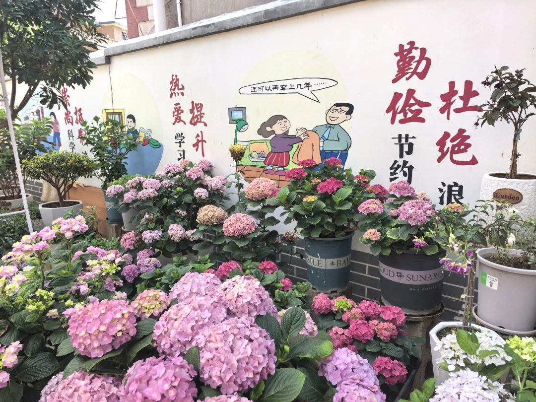 微信图片_20250623095510.jpg
