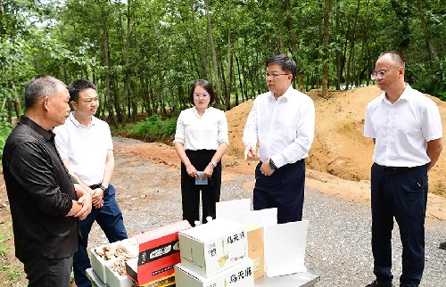 周建忠在峨山县调研时强调 做好“农”文章 建和美乡村 回答好群众持续增收之问