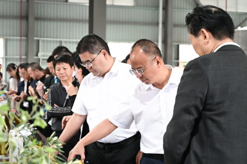 2025年油橄榄产业发展推进会召开