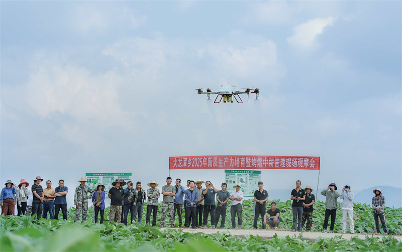 微信图片_20251009113155_286_3.jpg 微信图片_20251009113155_286_3.jpg