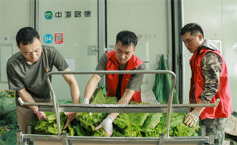 微信图片_20251009113137_268_3.jpg 微信图片_20251009113137_268_3.jpg