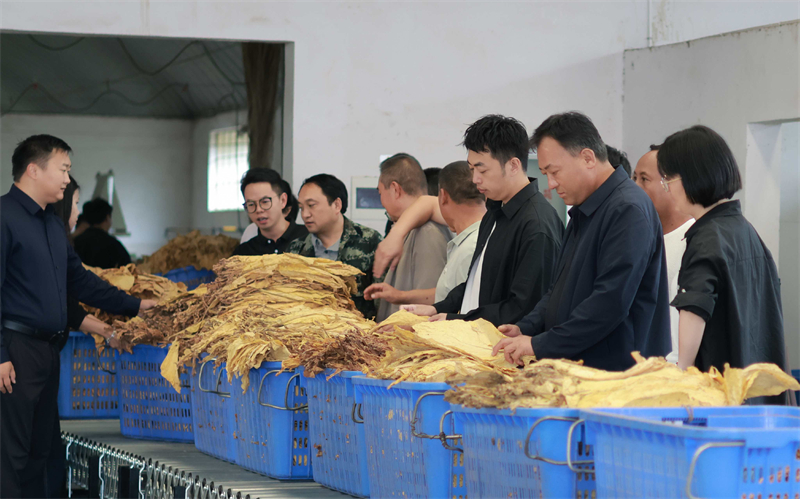 微信图片_20251009113151_282_3.jpg 微信图片_20251009113151_282_3.jpg