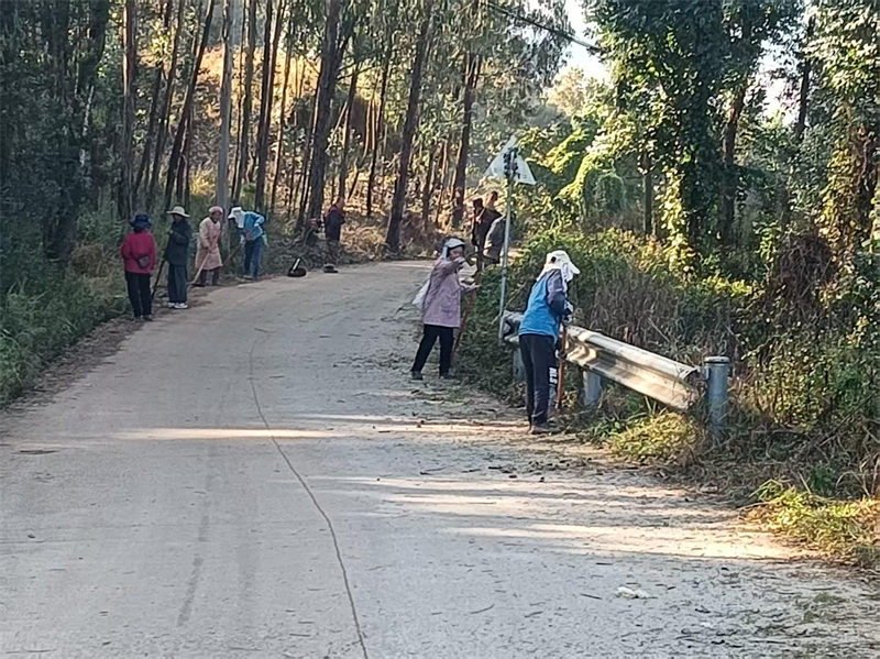 上塔竜支部党员组织群众修甸大路1.jpg 上塔竜支部党员组织群众修甸大路1.jpg