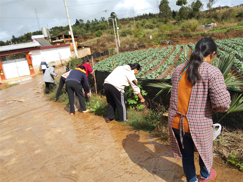 清扫垃圾池、打扫街道、捡垃圾1.jpg 清扫垃圾池、打扫街道、捡垃圾1.jpg