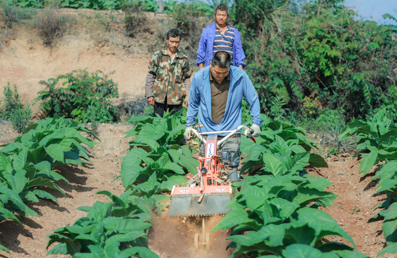 微信图片_20251209090312_776_14-2.jpg 微信图片_20251209090312_776_14-2.jpg