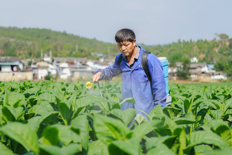 微信图片_20251209090150_773_14-4.jpg 微信图片_20251209090150_773_14-4.jpg