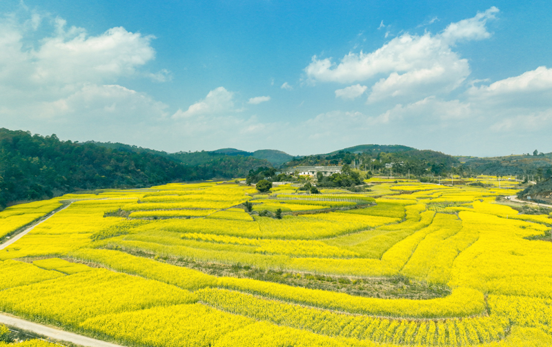 微信图片_20251209085645_768_14-1.jpg 微信图片_20251209085645_768_14-1.jpg