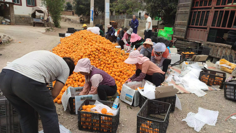 微信图片_20251209084256_751_14-9.jpg 微信图片_20251209084256_751_14-9.jpg