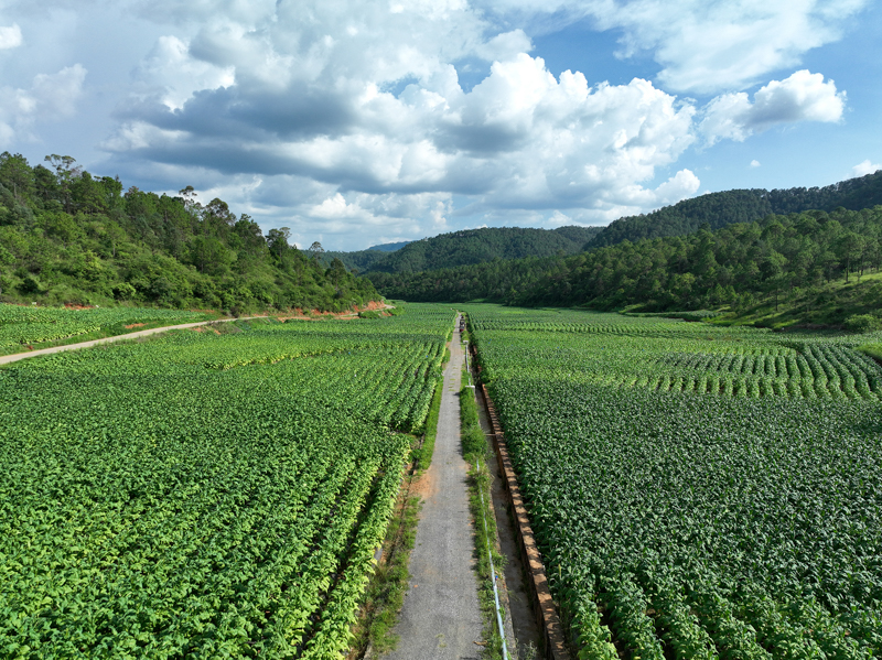 微信图片_20251209090421_777_14-12.jpg 微信图片_20251209090421_777_14-12.jpg