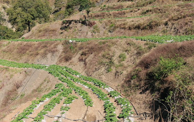 微信图片_2025-12-10_114032_842-1.jpg 微信图片_2025-12-10_114032_842-1.jpg