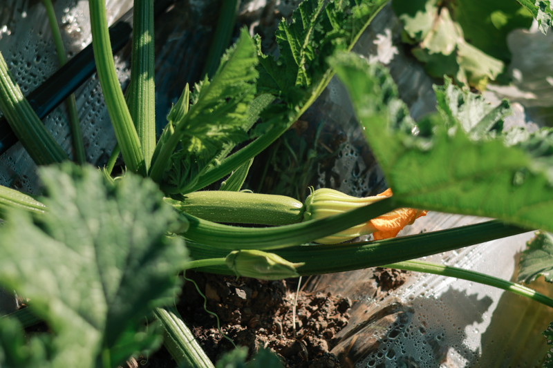 微信图片_2025-12-10_114043_274-3.jpg 微信图片_2025-12-10_114043_274-3.jpg