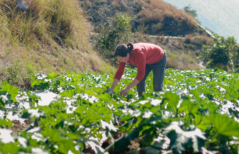 微信图片_2025-12-10_114026_370-4.jpg 微信图片_2025-12-10_114026_370-4.jpg