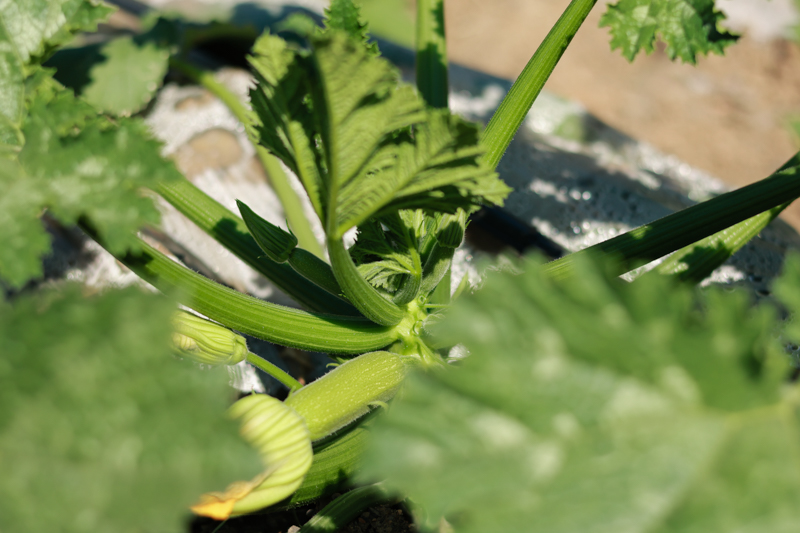 微信图片_2025-12-10_114038_426-2.jpg 微信图片_2025-12-10_114038_426-2.jpg