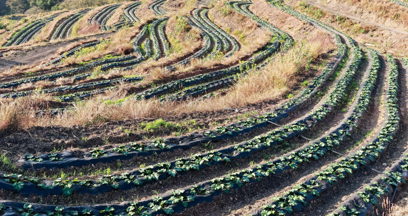 微信图片_2025-12-10_115333_520-5.jpg 微信图片_2025-12-10_115333_520-5.jpg