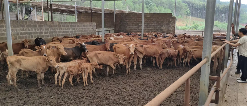 f627586f10dbbcdd875d114f9dde8c50.jpg f627586f10dbbcdd875d114f9dde8c50.jpg