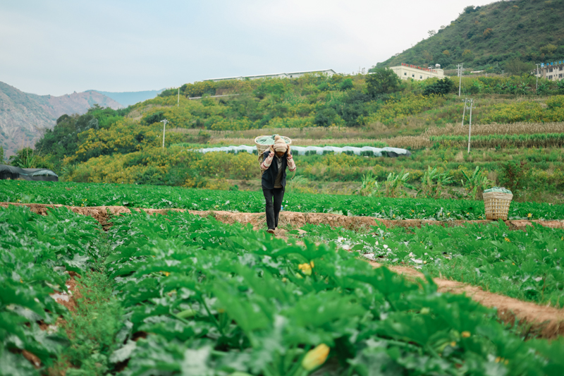 微信图片_2025-12-25_164230_592-5.jpg 微信图片_2025-12-25_164230_592-5.jpg