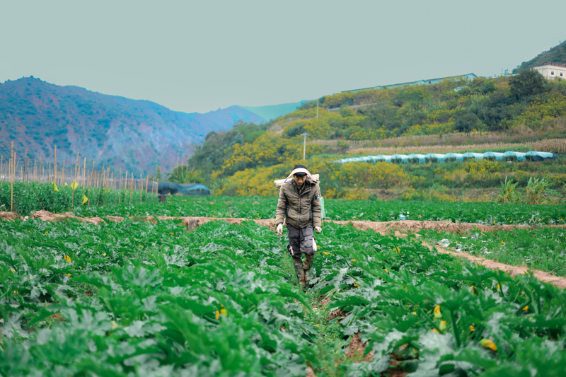 微信图片_2025-12-25_164218_032-2.jpg 微信图片_2025-12-25_164218_032-2.jpg