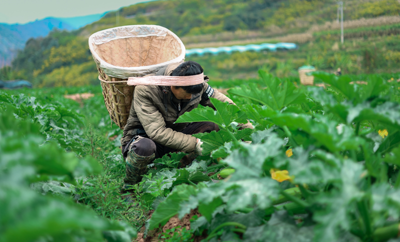 微信图片_2025-12-25_164222_588-3.jpg 微信图片_2025-12-25_164222_588-3.jpg