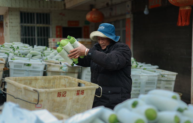 微信图片_2025-12-25_164205_523-6.jpg 微信图片_2025-12-25_164205_523-6.jpg